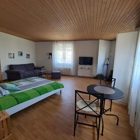 Eigerplatz Apartment